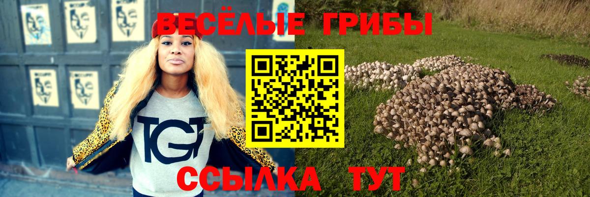 Галлюциногенные грибы Cubensis  Вход с VPN  Галлюциногенные грибы MAGIC MUSHROOMS  Уварово 